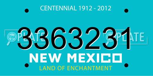 3363231 New Mexico License Plate