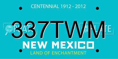 337TWM New Mexico License Plate