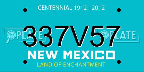 337V57 New Mexico License Plate