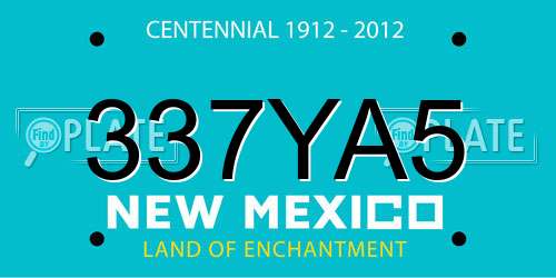 337YA5 New Mexico License Plate