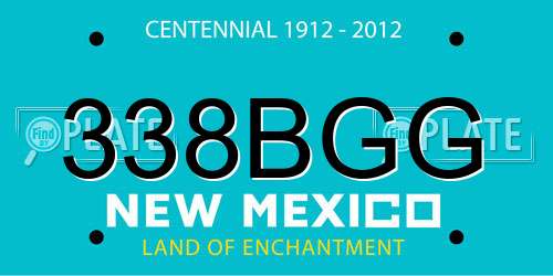 338BGG New Mexico License Plate
