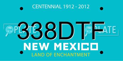 338DTF New Mexico License Plate