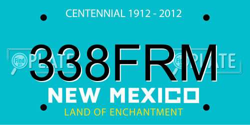 338FRM New Mexico License Plate