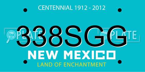 338SGG New Mexico License Plate