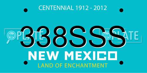 338SSS New Mexico License Plate
