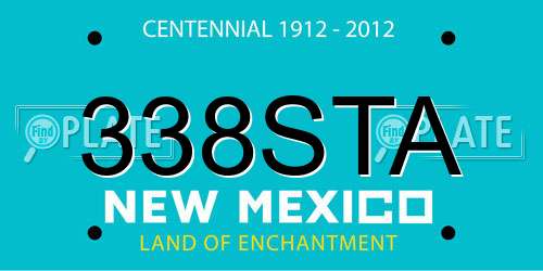 338STA New Mexico License Plate