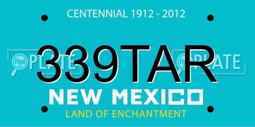 339TAR New Mexico License Plate