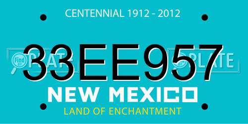 33EE957 New Mexico License Plate