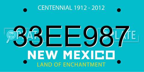 33EE987 New Mexico License Plate