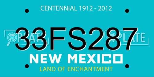 33FS287 New Mexico License Plate