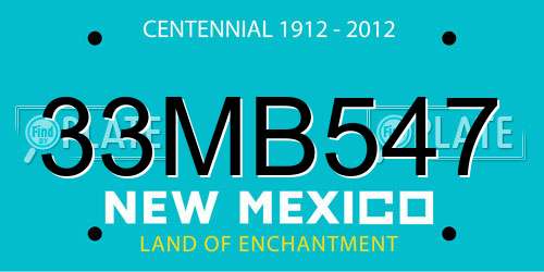 33MB547 New Mexico License Plate