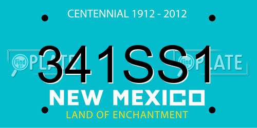 341SS1 New Mexico License Plate