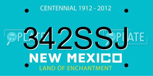342SSJ New Mexico License Plate