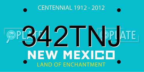 342TNJ New Mexico License Plate