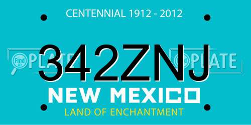 342ZNJ New Mexico License Plate