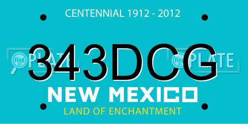343DCG New Mexico License Plate