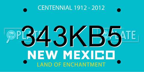 343KB5 New Mexico License Plate