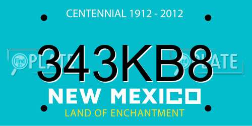 343KB8 New Mexico License Plate