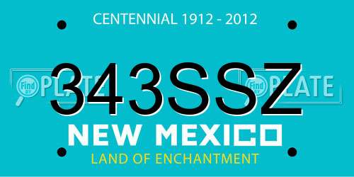 343SSZ New Mexico License Plate