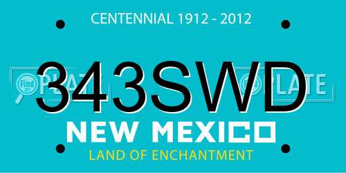 343SWD New Mexico License Plate