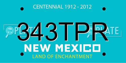 343TPR New Mexico License Plate