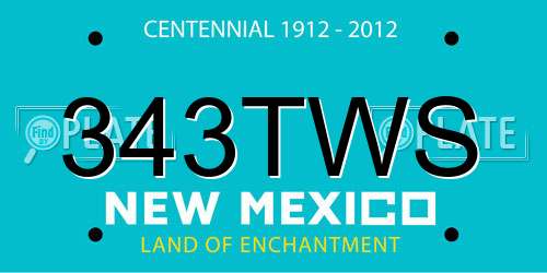 343TWS New Mexico License Plate
