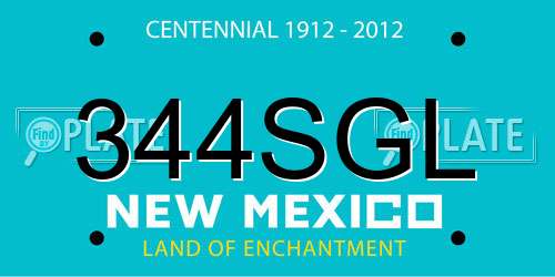 344SGL New Mexico License Plate