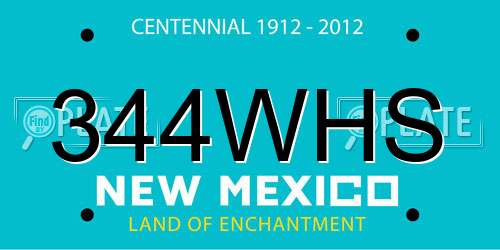 344WHS New Mexico License Plate