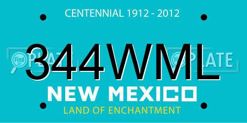 344WML New Mexico License Plate