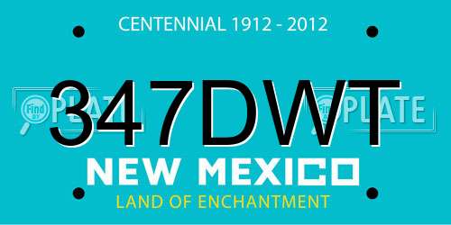 347DWT New Mexico License Plate