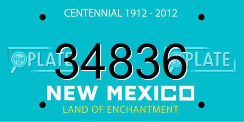 34836 New Mexico License Plate
