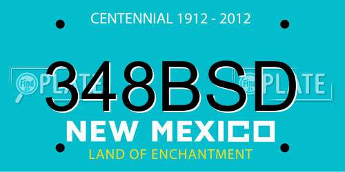 348BSD New Mexico License Plate
