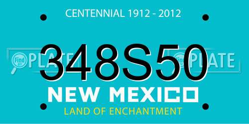 348S50 New Mexico License Plate