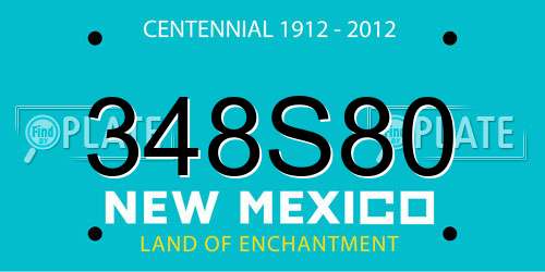 348S80 New Mexico License Plate