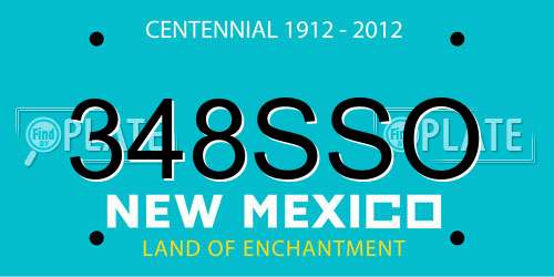 348SSO New Mexico License Plate
