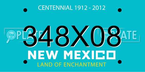 348X08 New Mexico License Plate