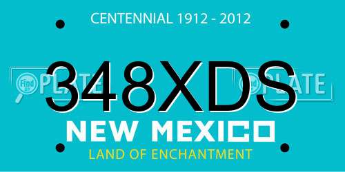 348XDS New Mexico License Plate