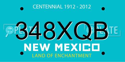 348XQB New Mexico License Plate