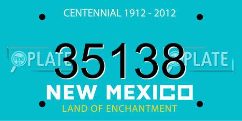 35138 New Mexico License Plate