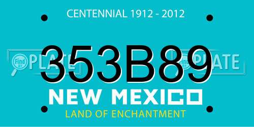 353B89 New Mexico License Plate