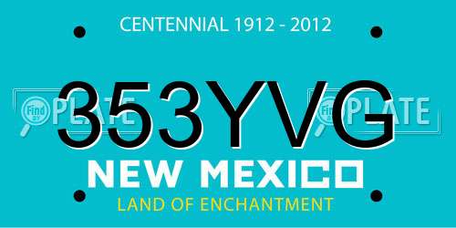 353YVG New Mexico License Plate