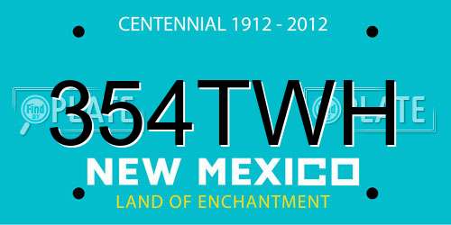 354TWH New Mexico License Plate