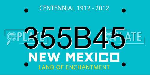 355B45 New Mexico License Plate