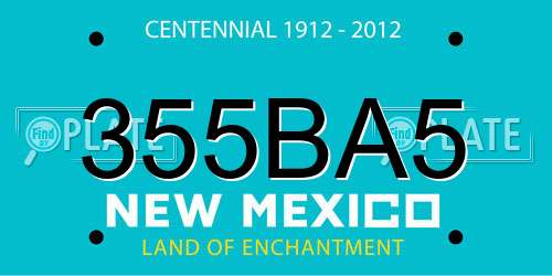 355BA5 New Mexico License Plate