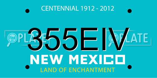 355EIV New Mexico License Plate
