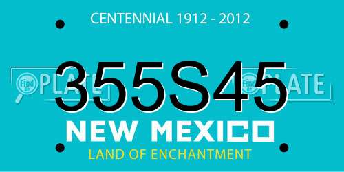 355S45 New Mexico License Plate