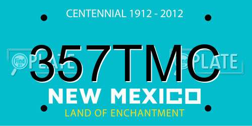 357TMC New Mexico License Plate