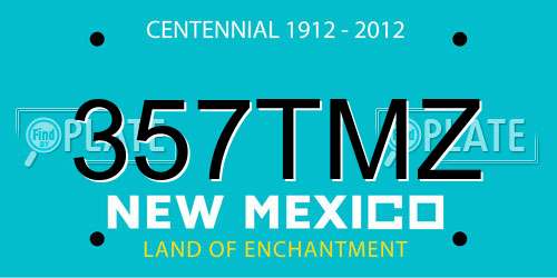 357TMZ New Mexico License Plate