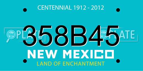 358B45 New Mexico License Plate