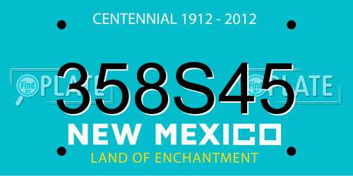 358S45 New Mexico License Plate
